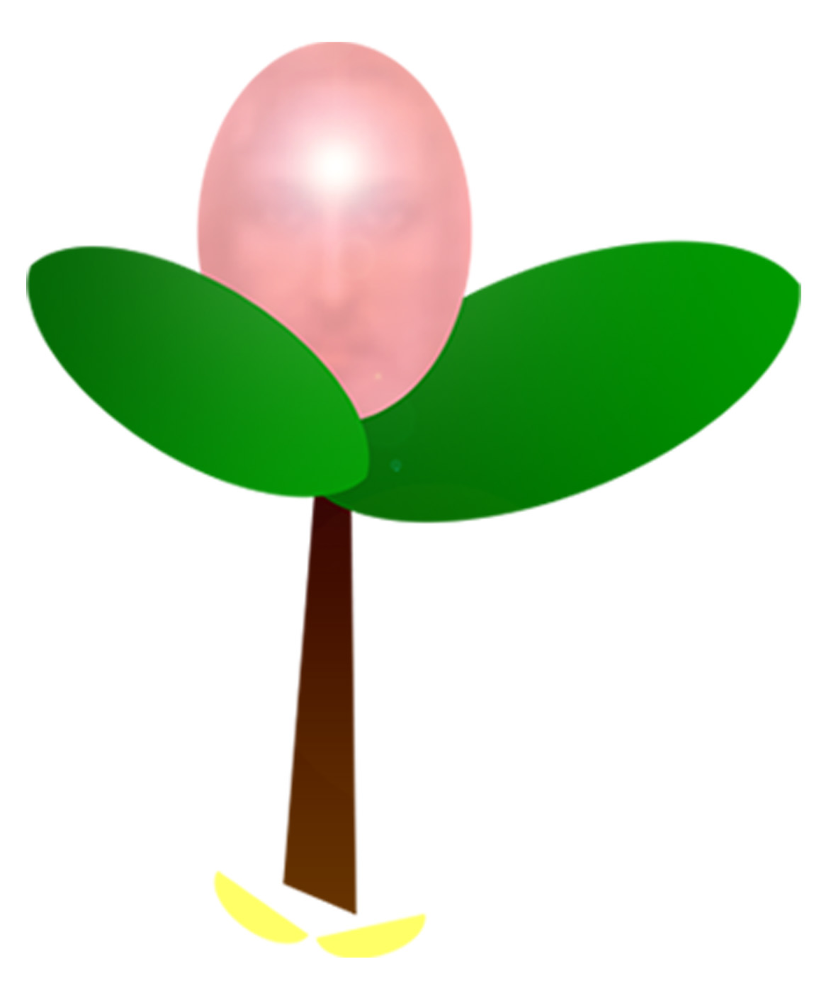 Pastorale Giovanile logo